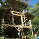 Image for article titled Bellavista's Biodigesting Treehouses Are Endor on Earth